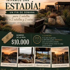 Sorteo